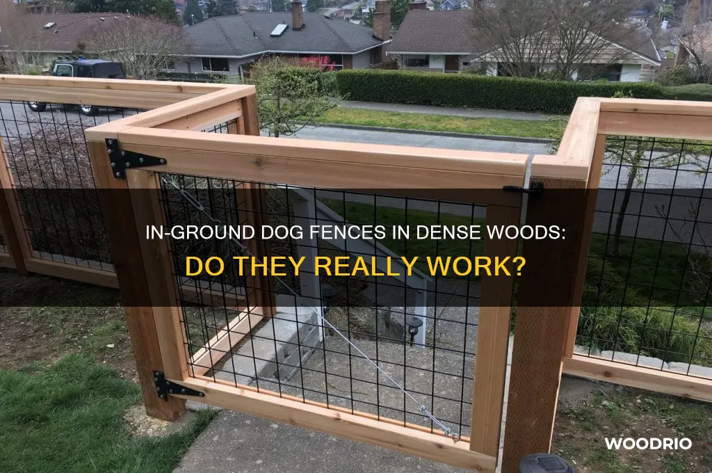 does in ground dog fence work in dense wooded areas