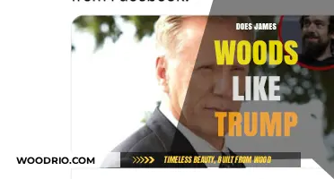 Exploring James Woods' Political Affinity: A Look at His Trump Support