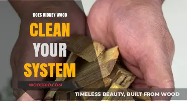 Revitalize Your Body: The Natural Detox Power of Kidney Wood