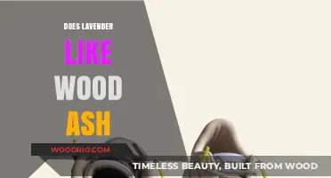 Does Lavender Like Wood Ash? Exploring the Benefits and Uses