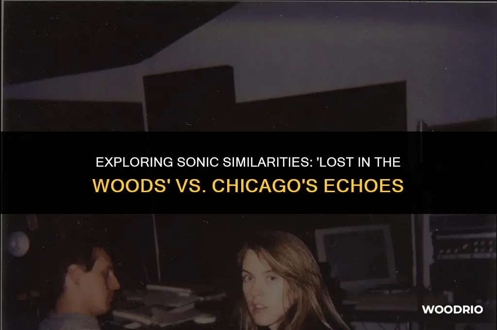 does lost in the woods sounds like chicago