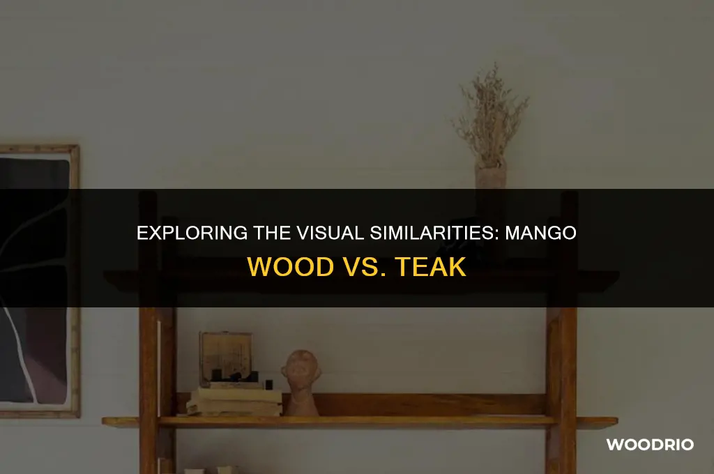 does mango wood look like teak