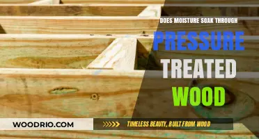 Exploring the Limits: Moisture Penetration in Pressure Treated Wood