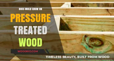 Pressure Treated Wood: A Comprehensive Guide to Mold Growth