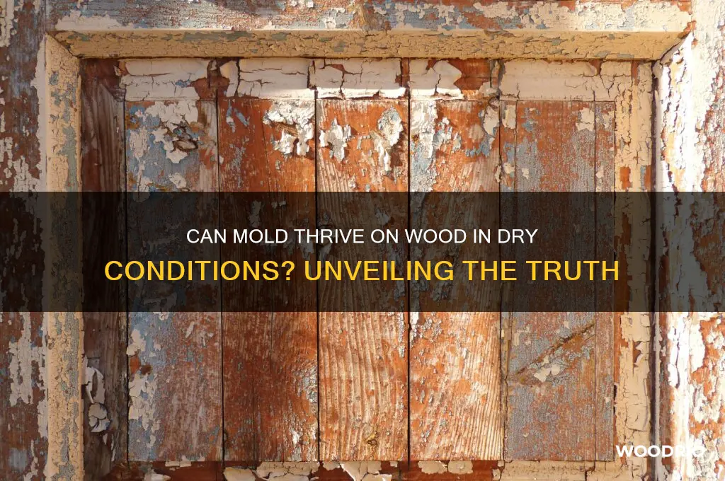 does mold grow on wood when no longer humid
