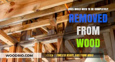 Effective Mold Remediation on Wood: Complete Removal or Surface Treatment?