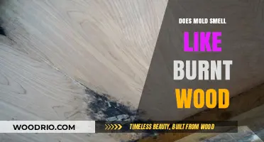 Unveiling the Truth: Does Mold Really Smell Like Burnt Wood?
