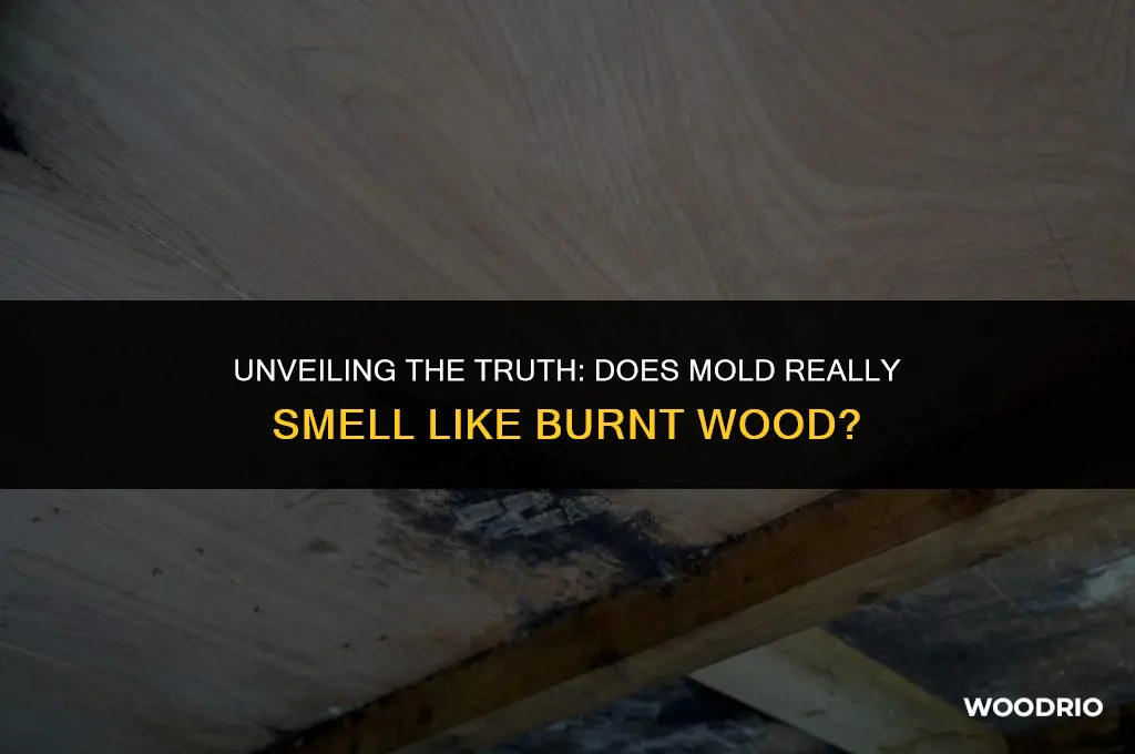 does mold smell like burnt wood