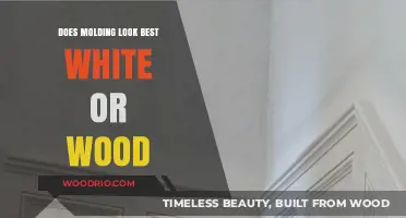 White vs. Wood Molding: Which Style Enhances Your Home's Aesthetic?