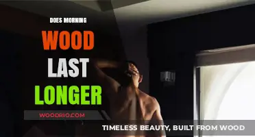 Morning Wood Duration: How Long Does It Typically Last?