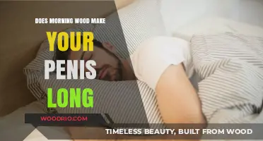 Morning Wood and Penis Size: Separating Fact from Fiction
