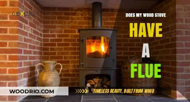 Understanding Your Wood Stove: The Importance of a Flue