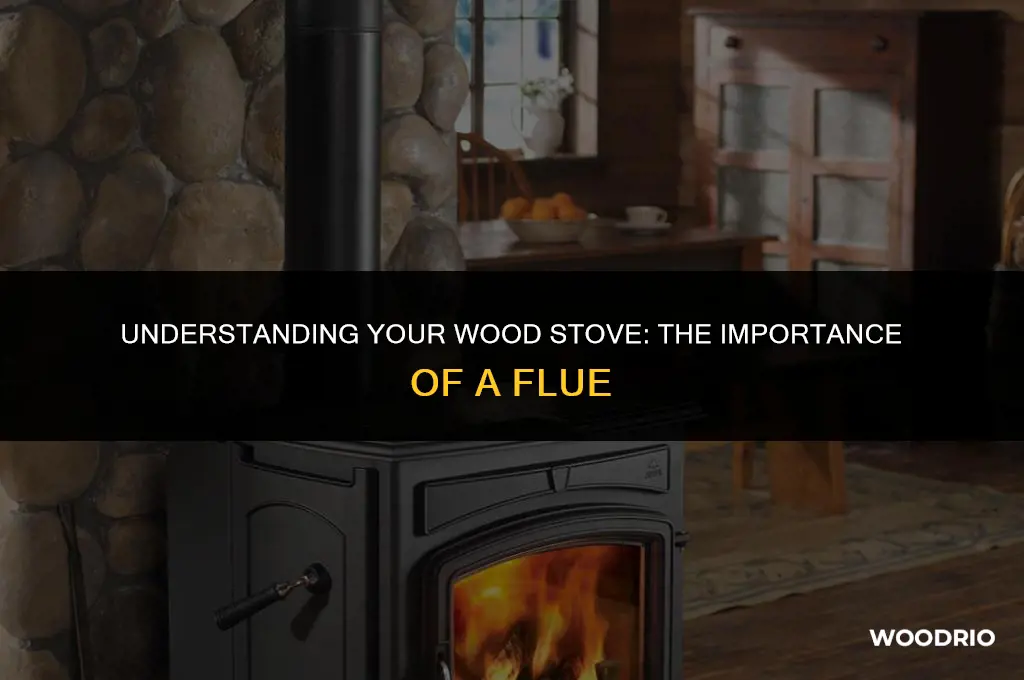 does my wood stove have a flue