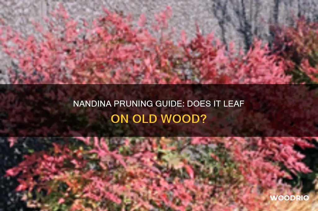 does nandina leaf on old wood