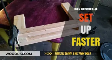Old Wood Glue: Does Age Speed Up Drying Time?