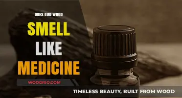 Exploring the Medicinal Notes of Oud Wood: A Fragrant Journey