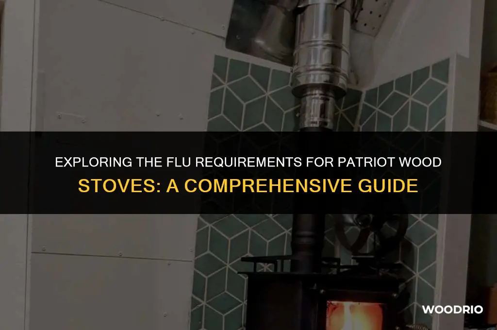 does patriot wood stove have a flu