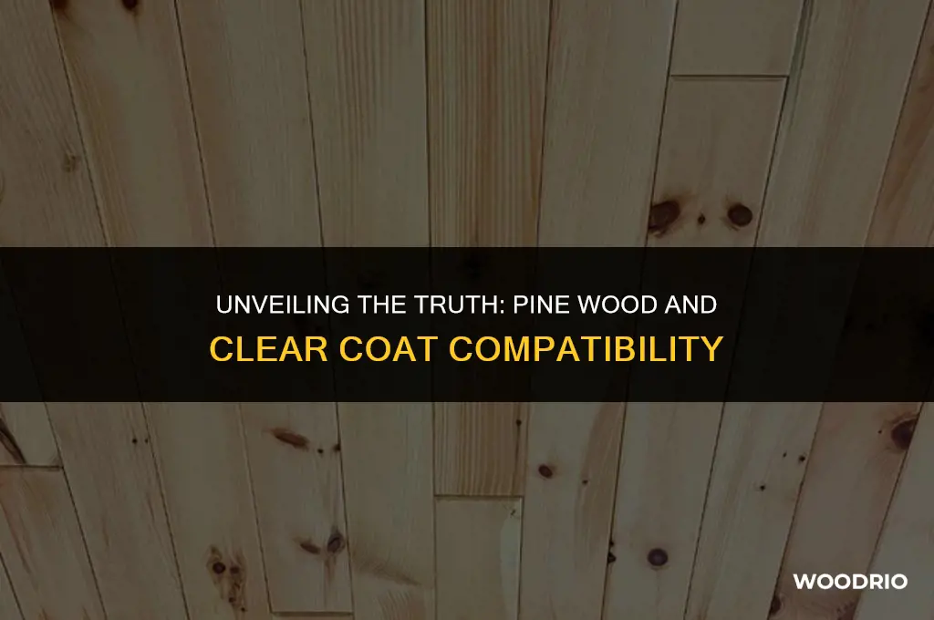 does pine wood need a pretreatment before you clear coat