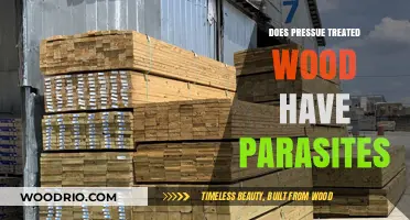 Unveiling the Truth: Does Pressure-Treated Wood Harbor Parasites?
