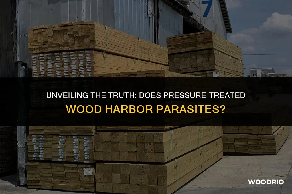 does pressue treated wood have parasites