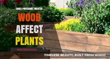 Exploring the Impact of Pressure-Treated Wood on Plant Health and Growth