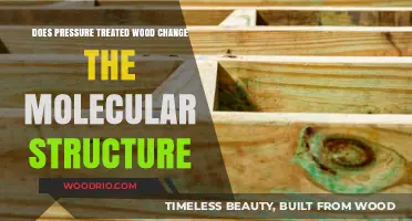 Exploring the Molecular Impact of Pressure Treatment on Wood