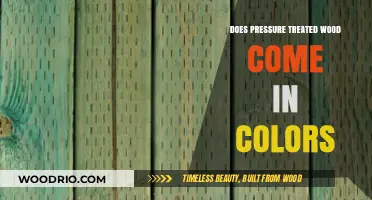 Exploring the Vibrant World of Pressure-Treated Wood Options