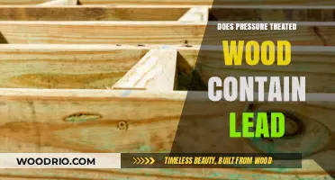 Unveiling the Truth: Pressure-Treated Wood and Lead Content