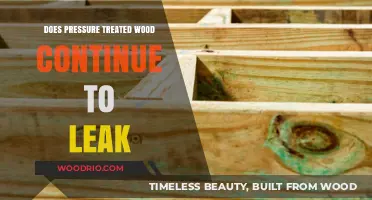 Understanding the Long-Term Leach of Pressure Treated Wood