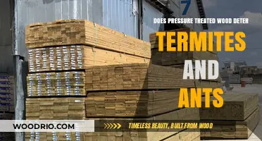 Termite and Ant Resistance: The Truth About Pressure Treated Wood