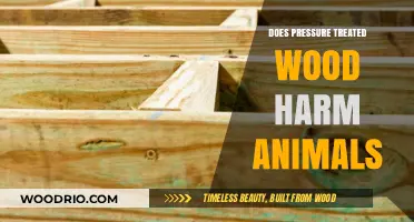 Is Pressure Treated Wood Safe for Animals? A Comprehensive Guide