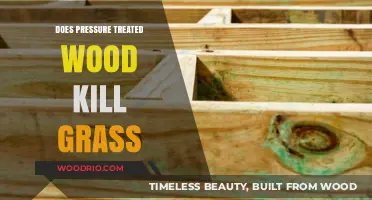 Does Pressure Treated Wood Kill Grass: A Comprehensive Guide