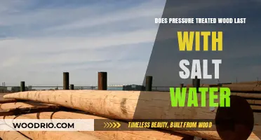 Durability of Pressure-Treated Wood in Saltwater Environments