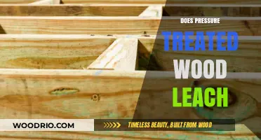 Unveiling the Truth: Does Pressure Treated Wood Leach?