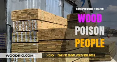 Unveiling the Truth: Pressure-Treated Wood and Human Health
