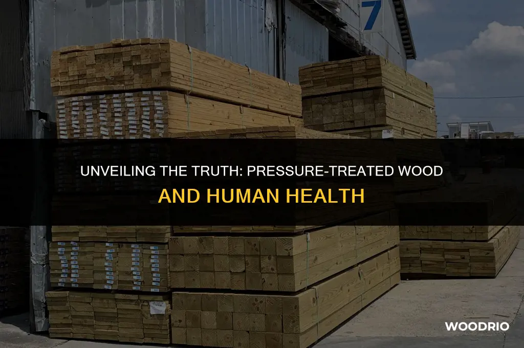 does pressure treated wood poison people