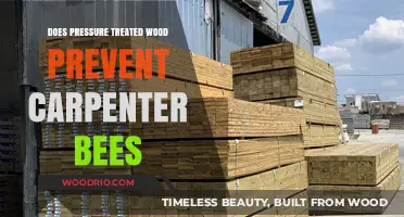 Does Pressure Treated Wood Prevent Carpenter Bees?
