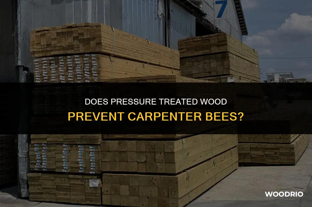 does pressure treated wood prevent carpenter bees