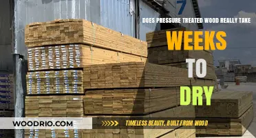 The Truth About Pressure Treated Wood: Drying Time Myths Debunked