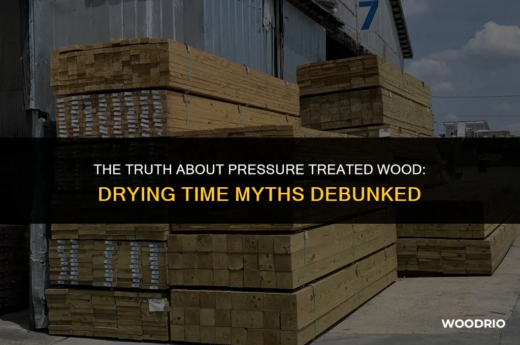 does pressure treated wood really take weeks to dry