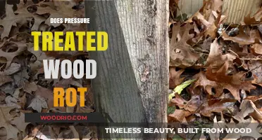 Decaying Dilemma: The Truth About Pressure Treated Wood Rot