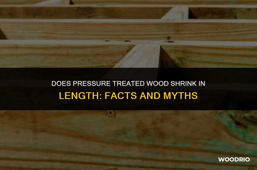 does pressure treated wood shrink in length