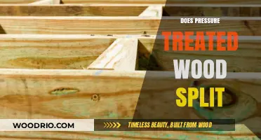 Will Pressure Treated Wood Split? Facts and Myths Debunked