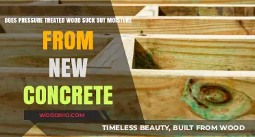 Does Pressure Treated Wood Suck Out Moisture from New Concrete?