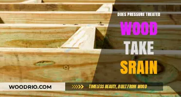 Unveiling the Durability: Does Pressure-Treated Wood Resist Stains?