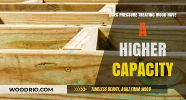 Exploring the Enhanced Durability of Pressure-Treated Wood