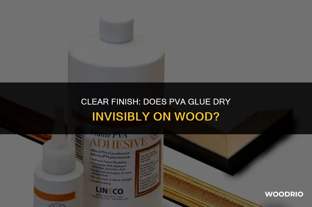 does pva glue dry clear on wood