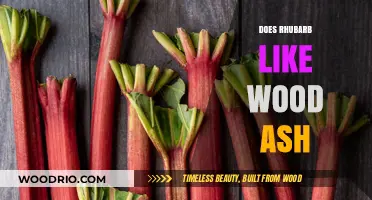 Rhubarb and Wood Ash: A Match Made in Garden Heaven?