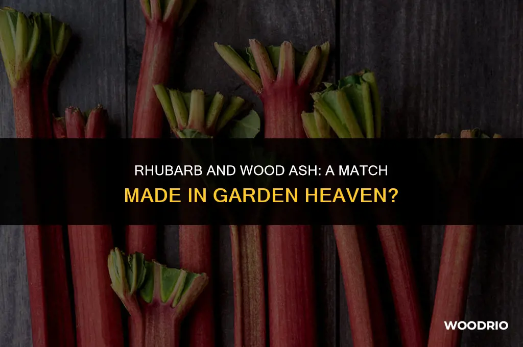 does rhubarb like wood ash