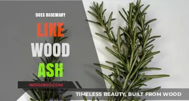 Rosemary's Preference: Exploring the Relationship Between Rosemary and Wood Ash